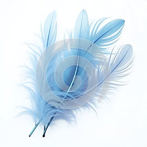 Set of blue feathers isolated on transparent background photo