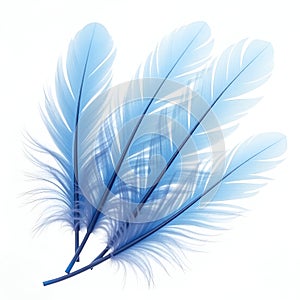 Set of blue feathers isolated on transparent background photo