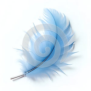 Set of blue feathers isolated on transparent background photo