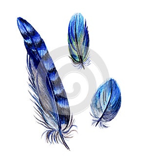 Set of blue feathers, watercolor painting