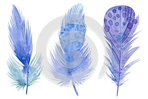 set of Blue feathers on white isolated background, watercolor illustration, hand drawing