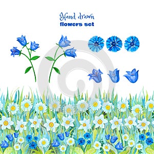 Set of blue flowers. Chamomiles, daffodils, blue bells, cornflowers. Seamless floral border