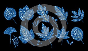 Set of blue glitter leaves