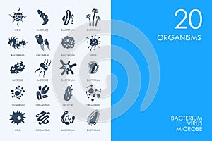 Set of BLUE HAMSTER Library organisms icons