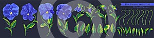 Set of blue Pansies. Vector botanical illustrations. Clip art in realistic style isolated on dark background.