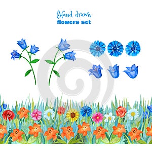 Set of blue and red flowers. Blue bells, cornflowers. Seamless floral border