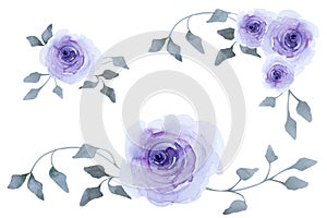 Set of blue roses with leaves isolated on white backgroung. Watercolor hand drawn illustration