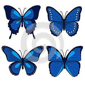 Set of blue vector butterflies. Isolated objects. EPS10