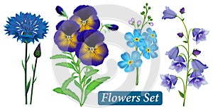 Set of blue wild flowers on a white background, vector.