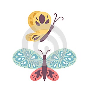 set of blue and yellow butterfly with colorful wings isolated on white background. hand drawing. Pretty flying moth top