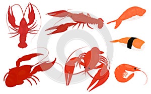 Set of boiled red lobster, crayfish and shrimp