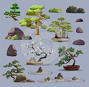 Set of bonsai Japanese trees grown in containers. Beautiful realistic tree, garden stone, plant. Bonsai tree on the box