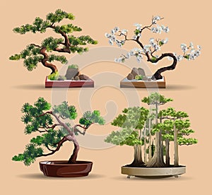 Set of bonsai Japanese trees grown in containers. Beautiful realistic tree. Tree in bonsai style. Bonsai tree on the red