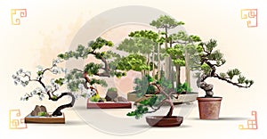 Set of bonsai Japanese trees grown in containers. Beautiful realistic tree. Tree in bonsai style. Bonsai tree on the red