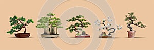 Set of bonsai Japanese trees grown in containers. Beautiful realistic tree. Tree in bonsai style. Bonsai tree on the red box.