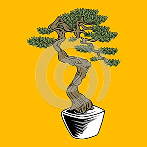 Set Of Bonsai Japanese Trees Grown In Containers Vector