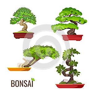 Set of bonsai Japanese trees grown in containers vector illustration