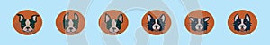 Set of border collie cartoon icon design template with various models. vector illustration isolated on blue background