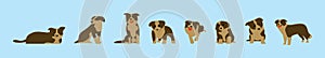 Set of border collie cartoon icon design template with various models. vector illustration isolated on blue background