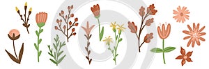 Set of botanic blossom floral elements. Branches, leaves, herbs, wild plants, flowers. Garden, meadow, field branches