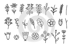 Set of botanical flower doodle elements, ornament floral hand drawn for card, Illustration,  vector