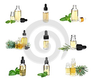 Set with bottles of different essential oils and herbs on white background