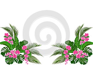 Set, bouquet. Corner drawing. Green tropical leaves of banana, coconut, monstera and ogawa. Pink Orchid. illustration