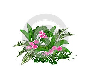 Set, bouquet. Green tropical leaves of banana, coconut, monstera and ogawa. Pink Orchid. illustration