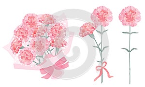 Set of bouquet of pink carnation of Mother\'s Day