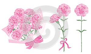 Set of bouquet of pink carnation for Mother\'s Day.