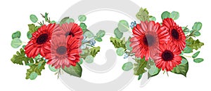 Set a bouquet of red gerberas, eucalyptus and wax flowers isolated on white background