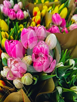 Set of bouquets of tulips of different colors, tulips bouquet. Present for March 8, International Women's Day