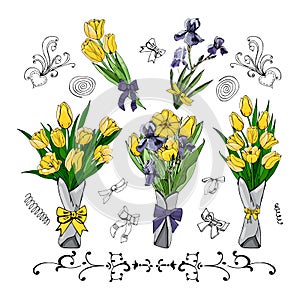 Set of bouquets with yellow tulips and viollet iris. Hand drawn colored sketch with tulip and iris flowers and leaves.