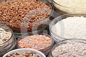 A set of bowls filled with different seeds: buckwheat, rise, corn and oatmeal