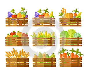 Set of Boxes With Fruits and Vegetables in Vector.