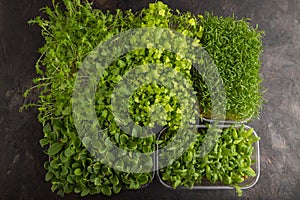 Set of boxes with microgreen sprouts of spinach, carrot, borage, mizuna cabbage on black, top view