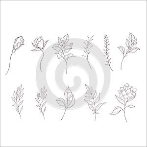 Set of Branches and Leaves. Line Art