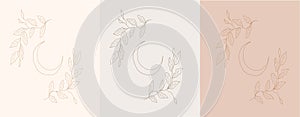 Set of branches leaves and moon in trendy linear minimalistic style.
