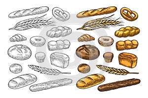 Set bread. Vector color vintage engraving