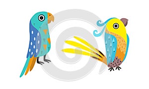 Set of Bright Colorful Exotic Tropical Birds Cartoon Vector Illustration