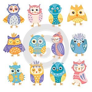 Set of bright colourful cute owls ceremony