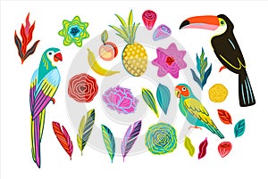 A set of bright illustrations of tropical birds, flowers and fruits. Isolated elements. Vector