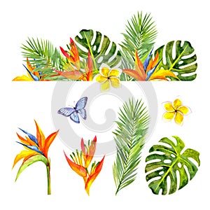 Set of bright tropical watercolor flowers and leaves.