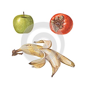 Set of bright watercolor fruits. Banana, green apple and persimmon isolated on white background.