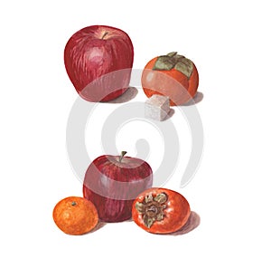 Set of bright watercolor fruits. Red apples with persimmon, sugar and mandarin isolated on white background.