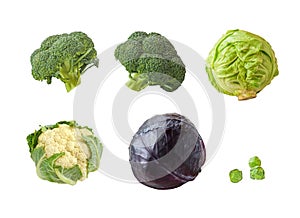 Set Broccoli isolated