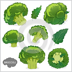 Set of broccoli vegetable illustration in various styles vector format