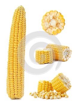 Set with broken corn cobs photo