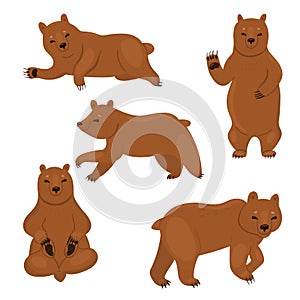 Set of brown bears isolated on a white background. Vector graphics