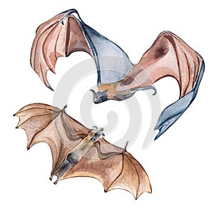 Set of brown and black bats watercolor illustration isolated on white background.